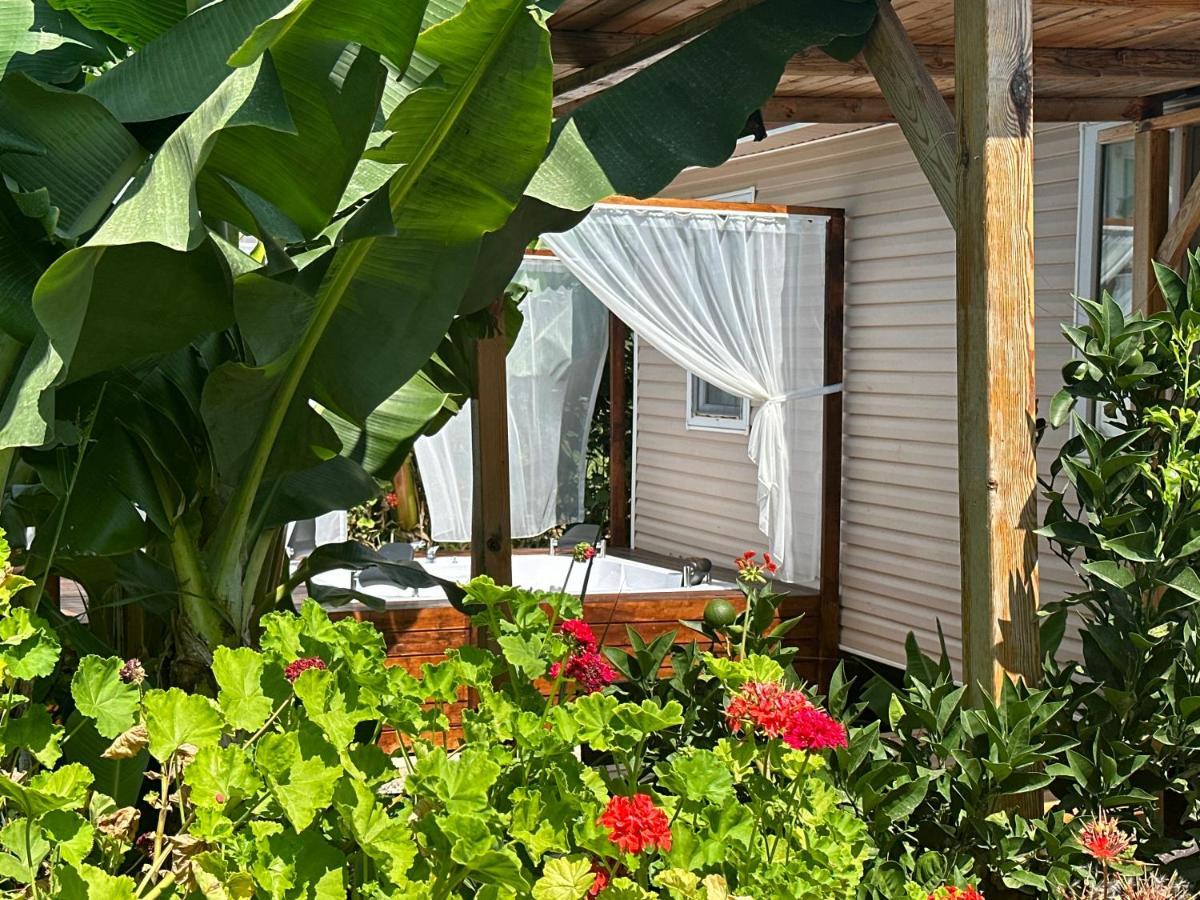 Kiris Garden Hotel Kemer Exterior photo
